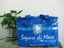 Disposable Insulated Cooler Bags?