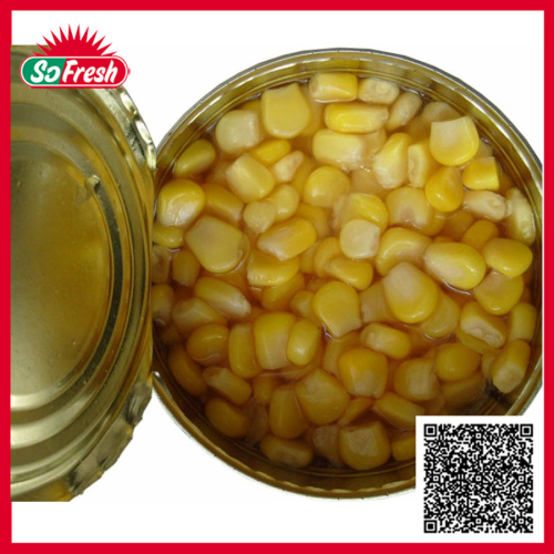 Canned corn button canned sweet corn