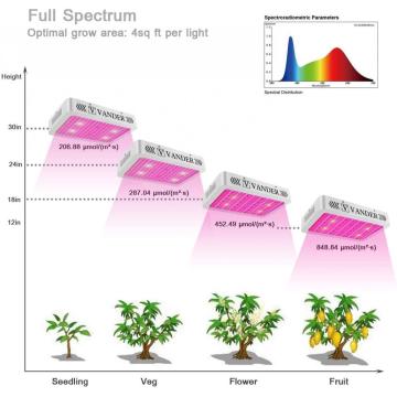 The Led grow light for Plant