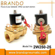 1 &#39;&#39; 2W250-25 Pirinç Elektrikli Solenoid Valf 24VDC 220VAC