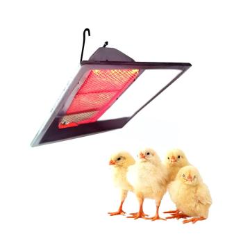 Factory Sales Gas, LPG Infrared IR Radiant Heater and Brooder for Day Old Chicks & Day Old Broilers THD2606