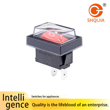 Chave oscilante pequena padrão série R13-1