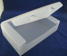 clear plastic shoe boxes with lids