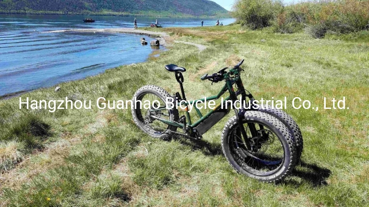 Electric Juggernaut Mdv Series 1000W Middle Motor 60V 17ah OEM/ODM Fat Tire Three Wheels Electric Bike