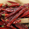 Guizhou Zunyi Shizhu chili slightly spicy special fragrance