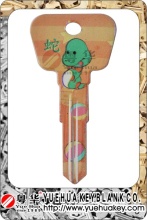 Color Painted Door Key Blank