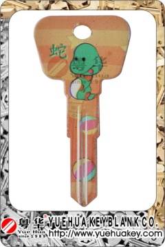 Color Painted Door Key Blank