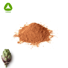 Organic Cynara Artichoke Leaf Extract 5% Cynarin Powder