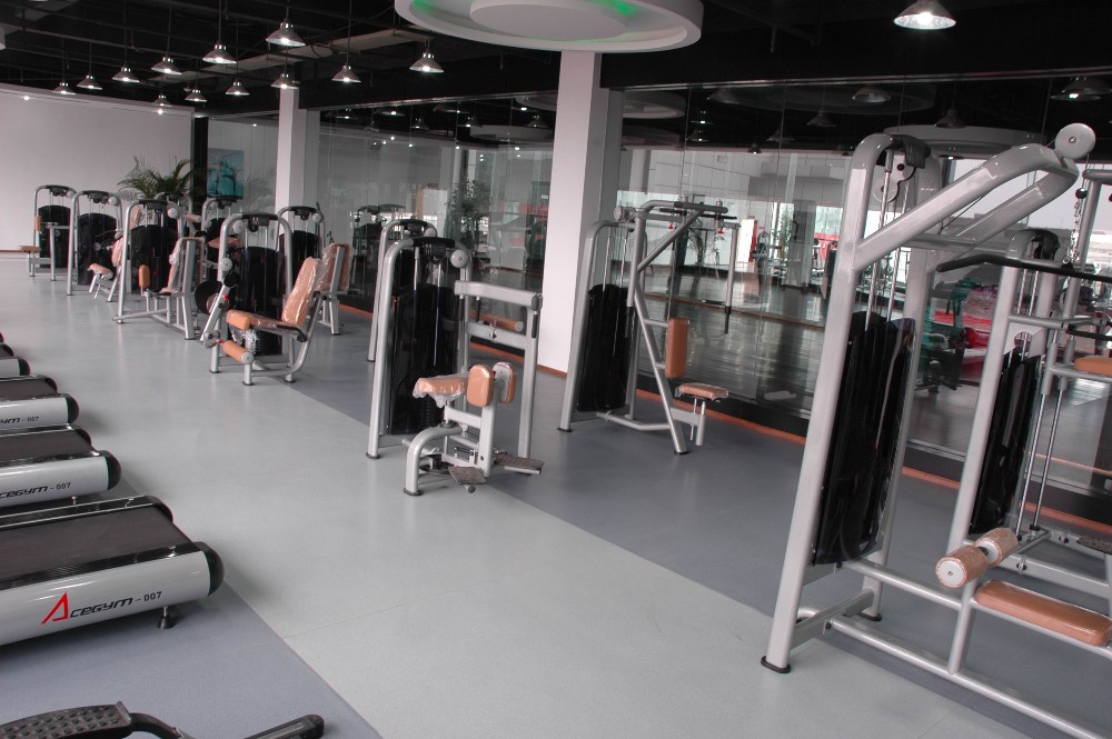 Gym Room Used Professional Commercial Vertical Knee Raise