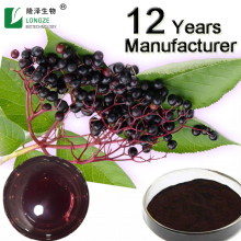 Top Selling Black Elderberry Extract