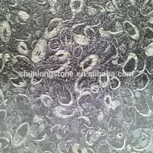 Shell Black marble tile,Black Marble slab