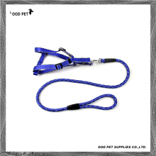 Discount Blue Dog Harnesses and Leashes