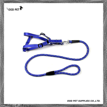 Discount Blue Dog Harnesses and Leashes