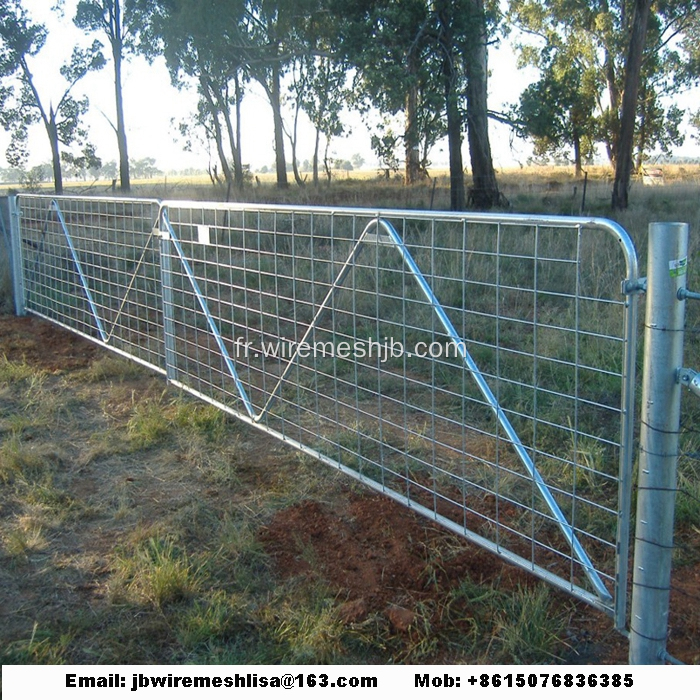 Porte de ferme galvanisée de style de N / barrière de bétail