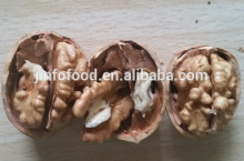 walnut in shell and walnut kernel