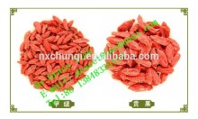 Chinese Matrimony-vine chinese wolfberry best quality