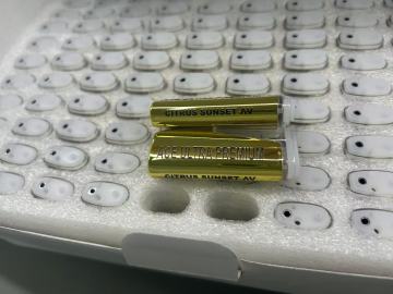 ACE disposable empty 2ml device