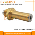 LPG CNG Brass Armature Thread Stem and Plunger