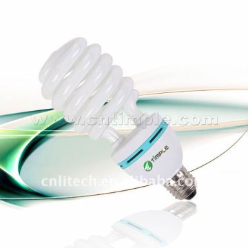 Spiral Compact Fluorescent Lamp