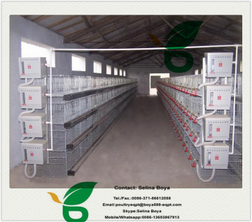 Poultry chicken cage Broiler chicken cage Meat chicken cage