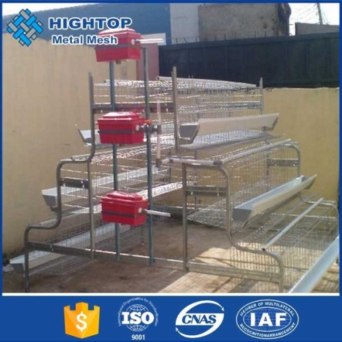 Hot sale metal frame animal cages chicken for nigeria