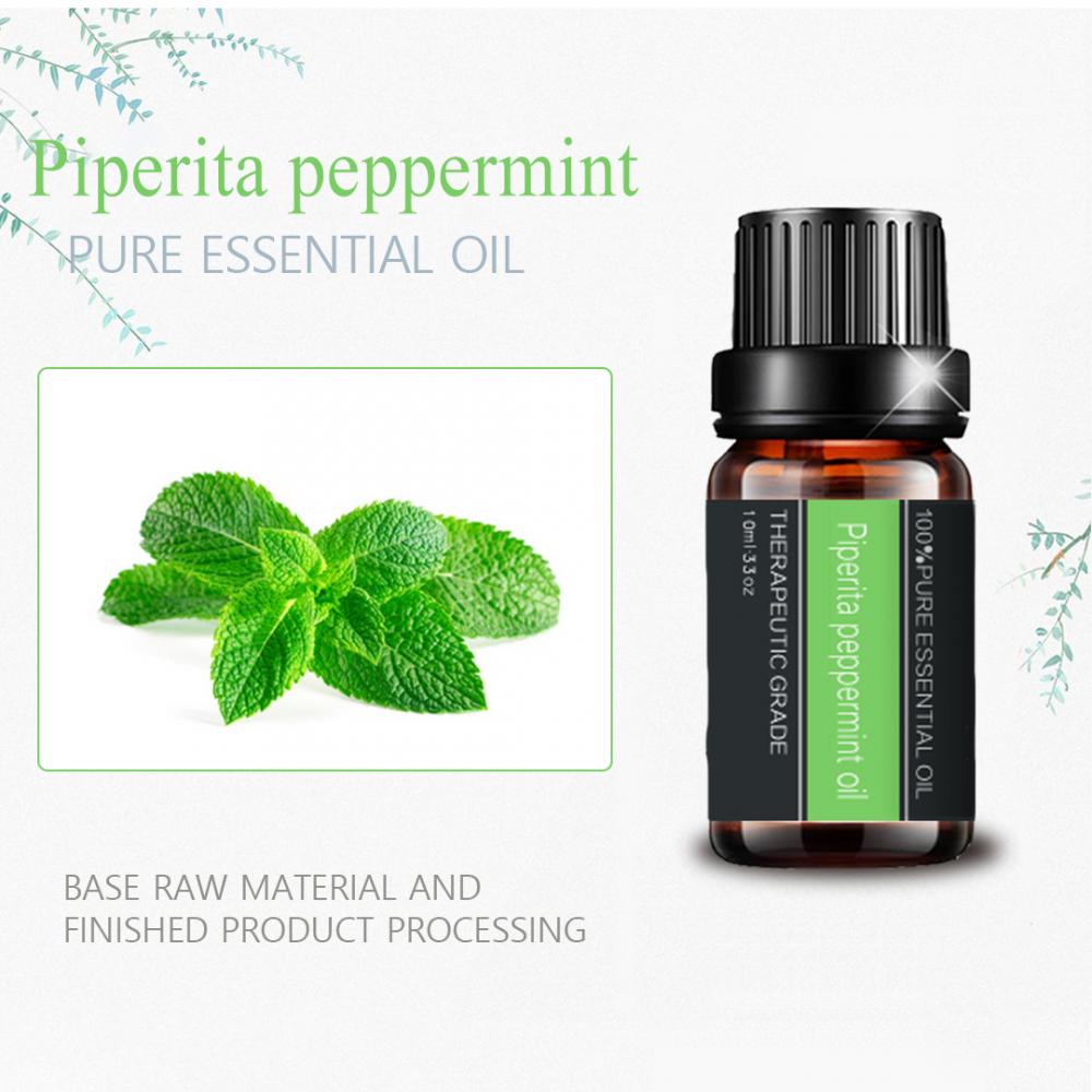 100% 순수 페퍼민트 오일 Piperita Mentha 에센셜 오일