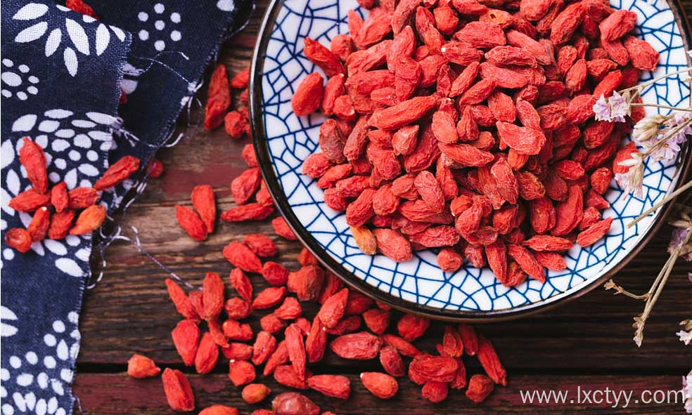 dried goji berries fruit