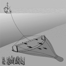 Nylon Beam Trawl Net