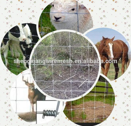 ISO9001 Practical Cattle/Sheep/Horse/Deer Fence Hot Sale in Australia/New Zealand