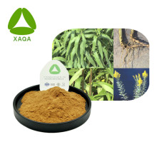 Goldenrod Flower Herbal Goldenrod Extract Powder