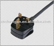 BS extension power cords