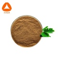 Mimosa Pudica Root Powder Mimosa Pudica Hostilis Extract