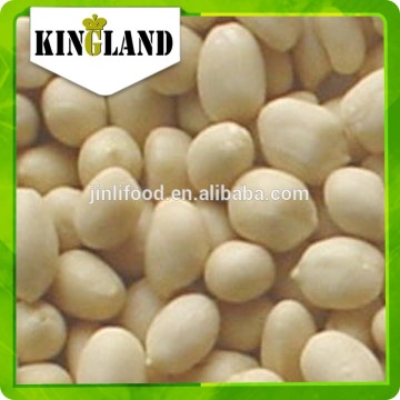 crispy blanched peanut kernel