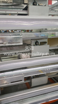 SHINE Chicken Drinker System