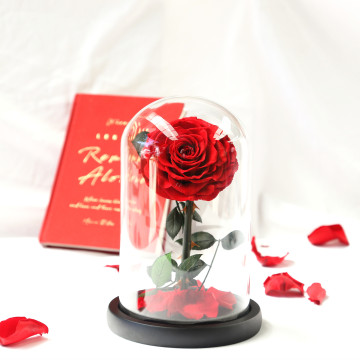 Forever Rose Glass Dome: Real Preserved Rose in Jar