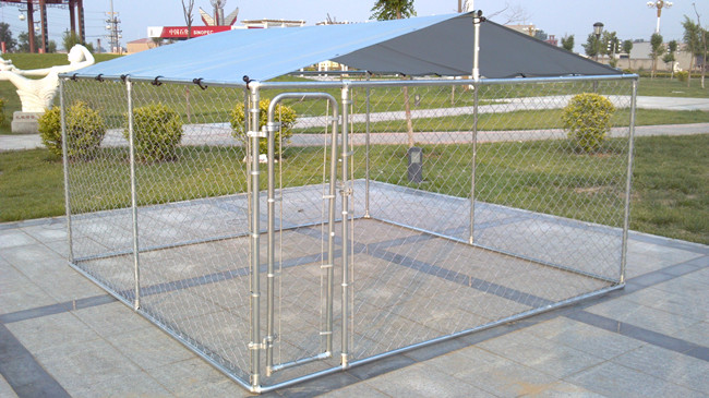 chain link fence cage