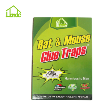 Cardboard  Mouse Trap Boards