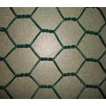 Wire mesh heksagonal dilapisi pvc galvanis yang dicelup panas