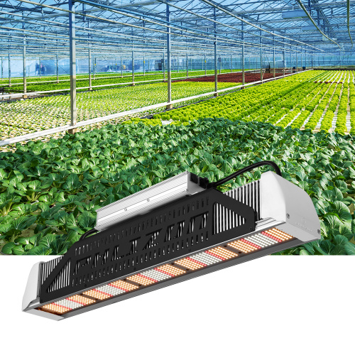 Cultivo de efecto invernadero LED Crece la barra lineal ligera