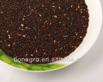 Hot sell black millet