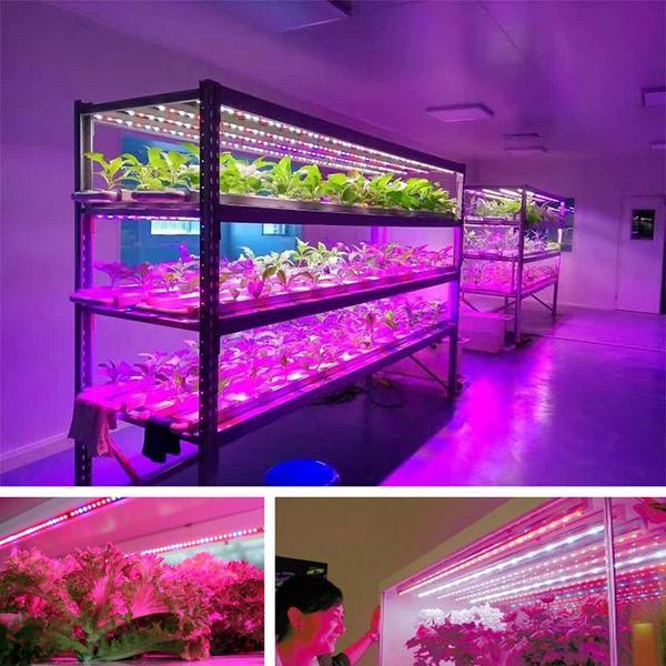 LED Grow Strip light