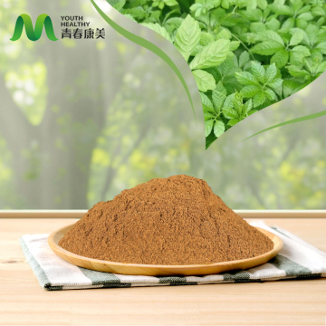 High Quality Gynostemma Extract