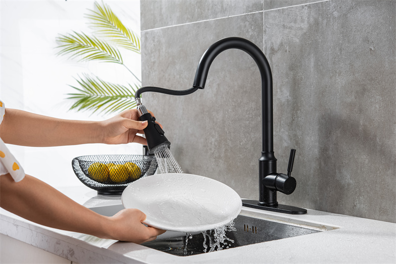 3 Way Kitchen Faucet Application 3 Way Kitchen Faucet Application