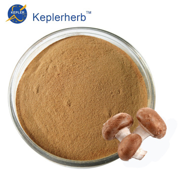 Coriolus Mushroom Extract Powder