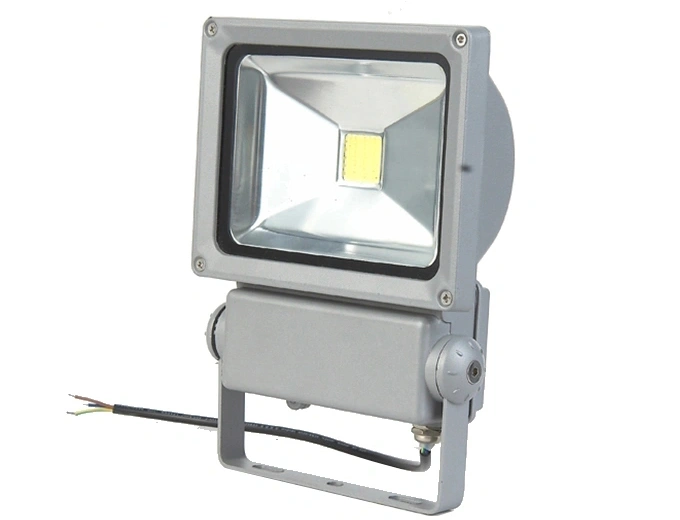 COB IP65 High Power LED Flood Light 30W (SLFD13)