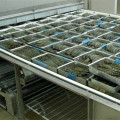 Freezer Terowong IQF IQF untuk makanan laut