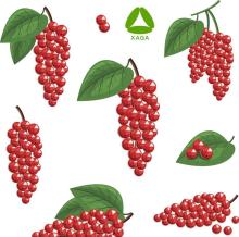 Natural Organic Herbal Schisandra Chinensis Extract Powder