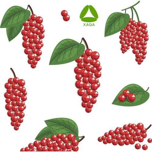 Schisandra chinensis de ervas naturais Extrato em pó