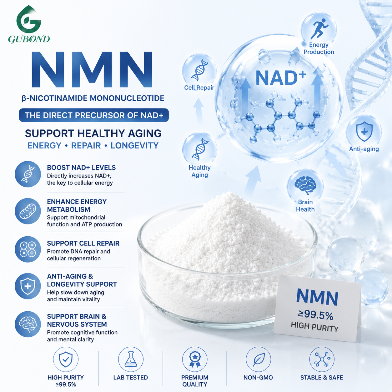NMN (mononucleótido de β-nicotinamida) NMN(β-Nicotinamide Mononucleotide)