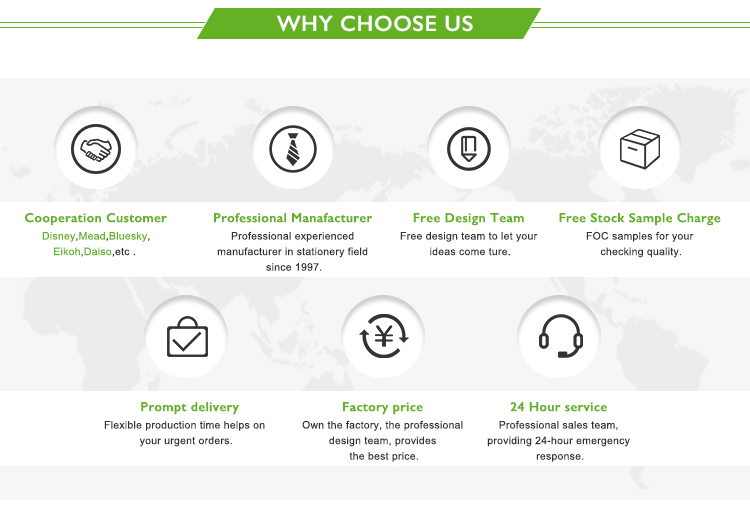 Plastic Flexible Fancy A4 Size Presentation Document File Folder